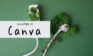 Canva